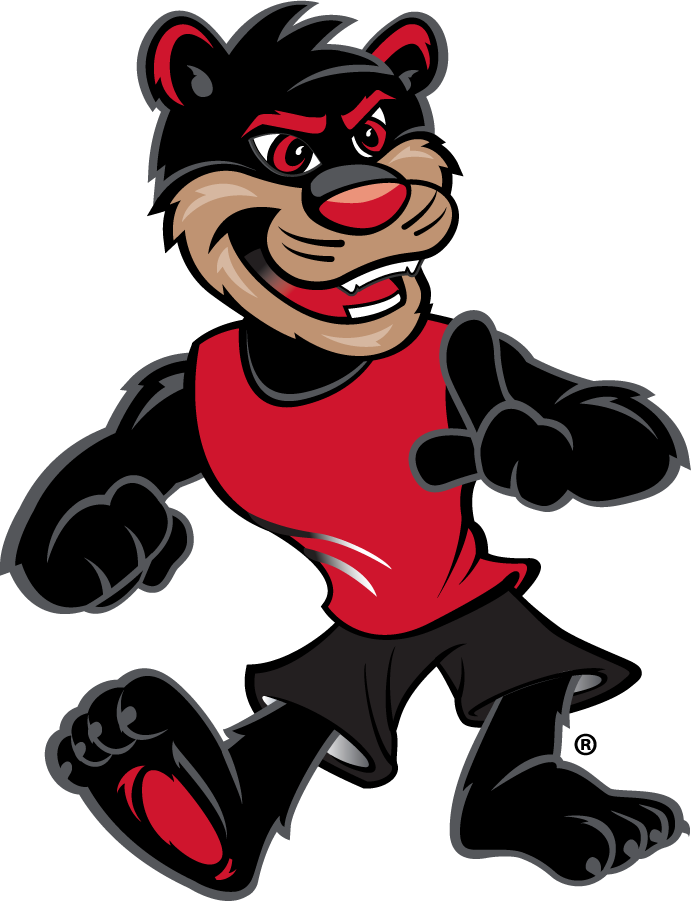 Cincinnati Bearcats 2015-Pres Mascot Logo iron on transfers for T-shirts